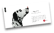 dot teaser.jpg